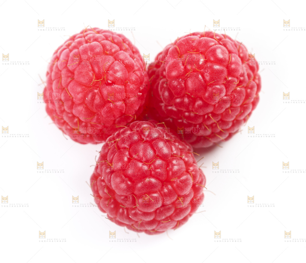 白底上的新鲜覆盆子