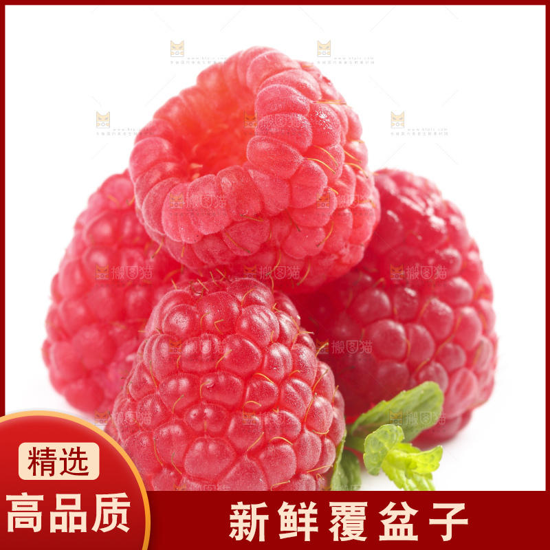 白底上的新鲜覆盆子