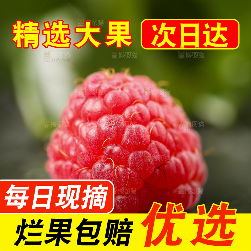 深底上的新鲜覆盆子