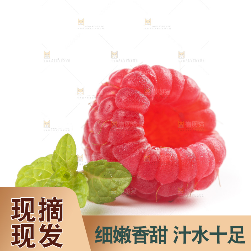 白底上的新鲜覆盆子