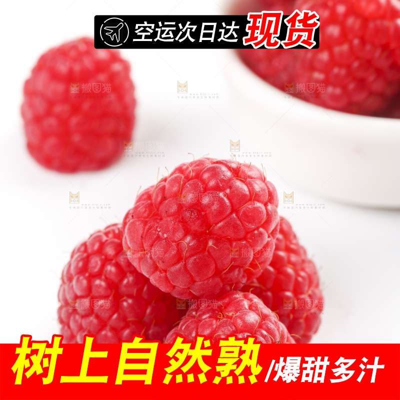 白底上的新鲜覆盆子