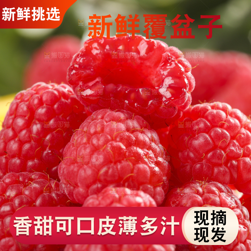 浅底上的新鲜覆盆子