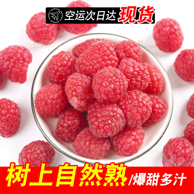 白底上的新鲜覆盆子