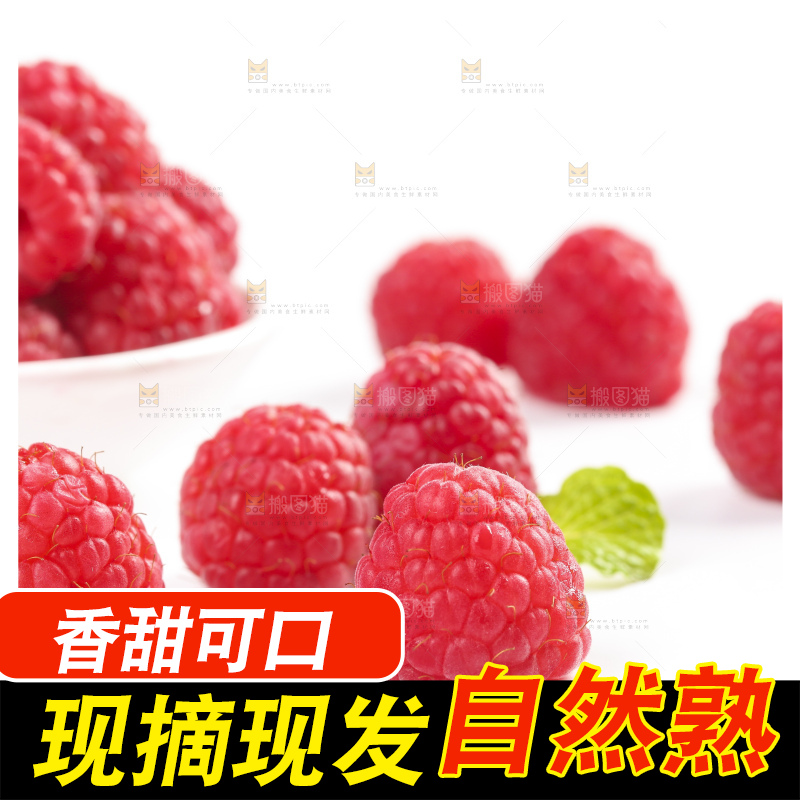 白底上的新鲜覆盆子
