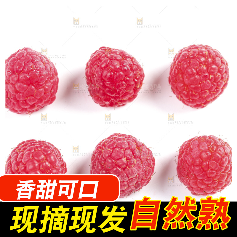 白底上的新鲜覆盆子