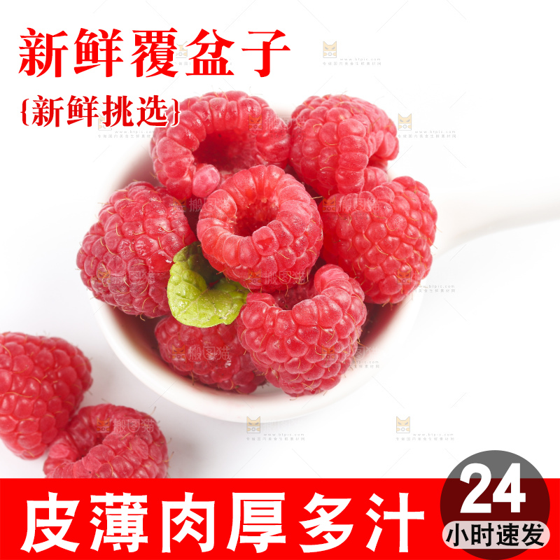 白底上的新鲜覆盆子
