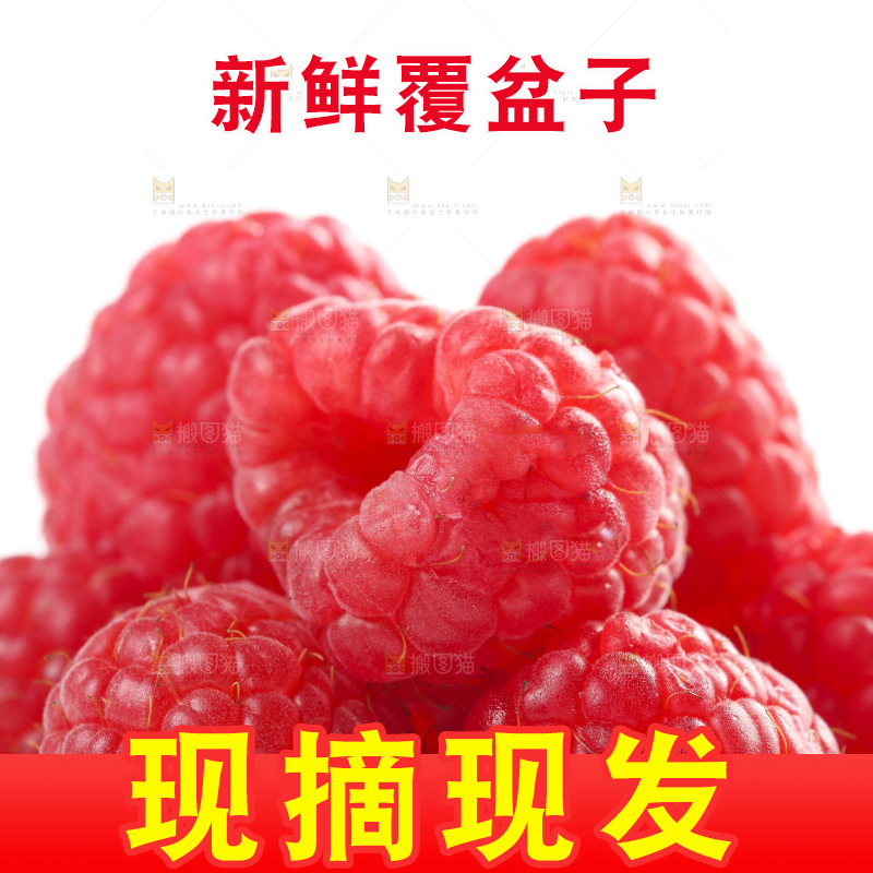 白底上的新鲜覆盆子