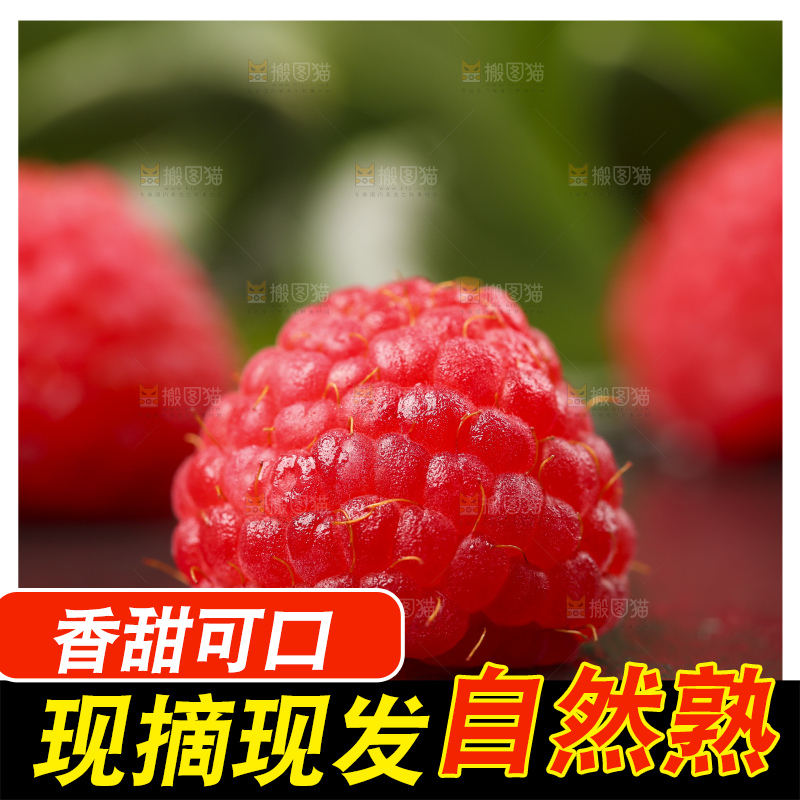 深底上的新鲜覆盆子