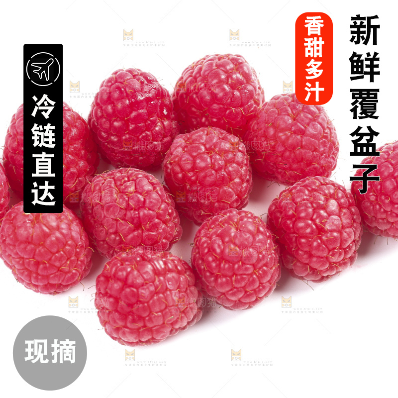 白底上的新鲜覆盆子