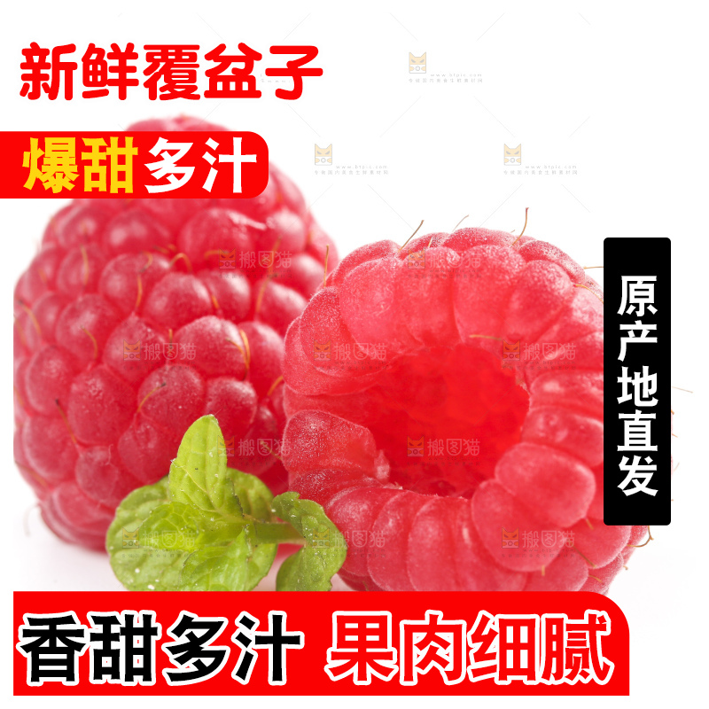 白底上的新鲜覆盆子