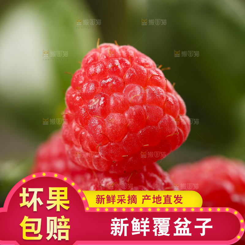 深底上的新鲜覆盆子