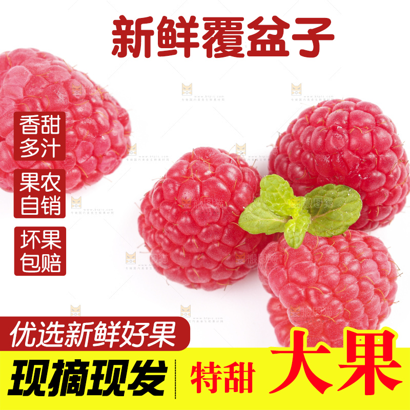 白底上的新鲜覆盆子