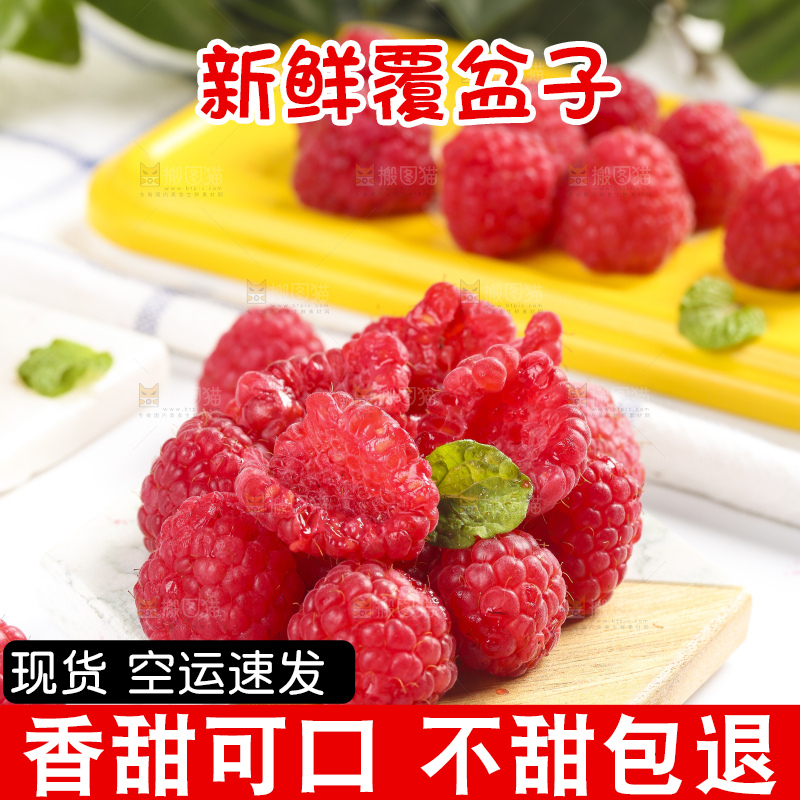 浅底上的新鲜覆盆子