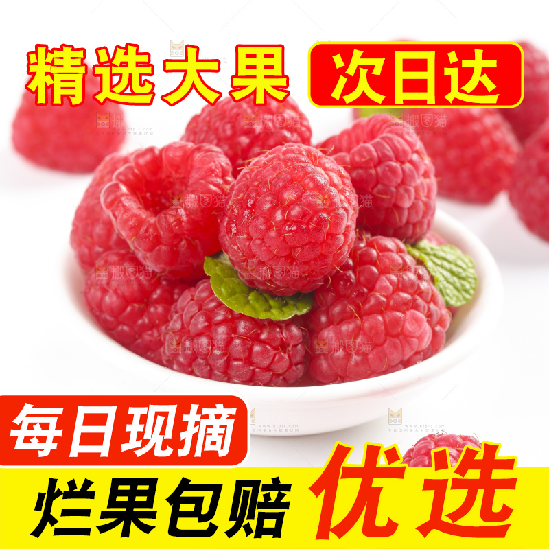 白底上的新鲜覆盆子