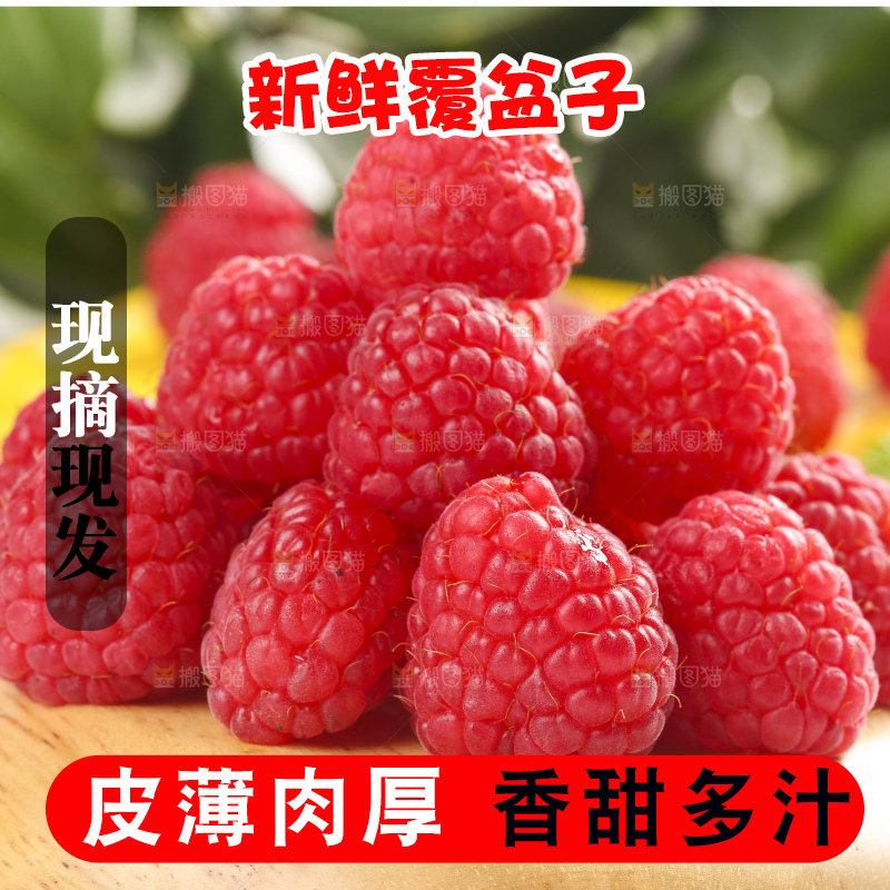 浅底上的新鲜覆盆子