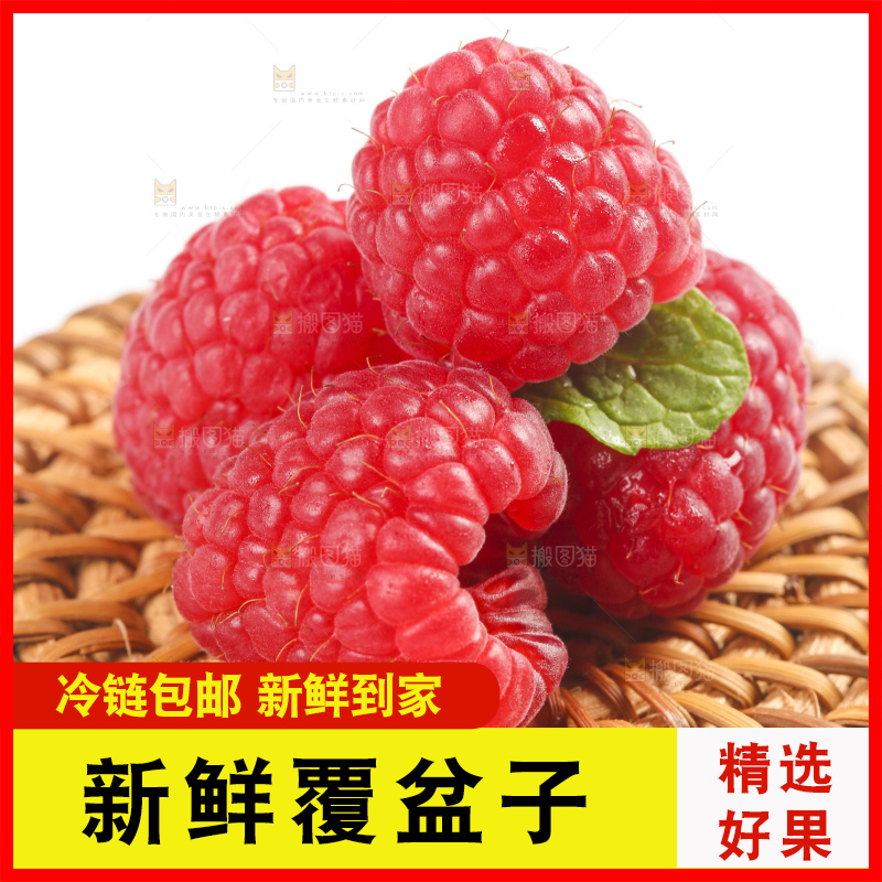 白底上的新鲜覆盆子