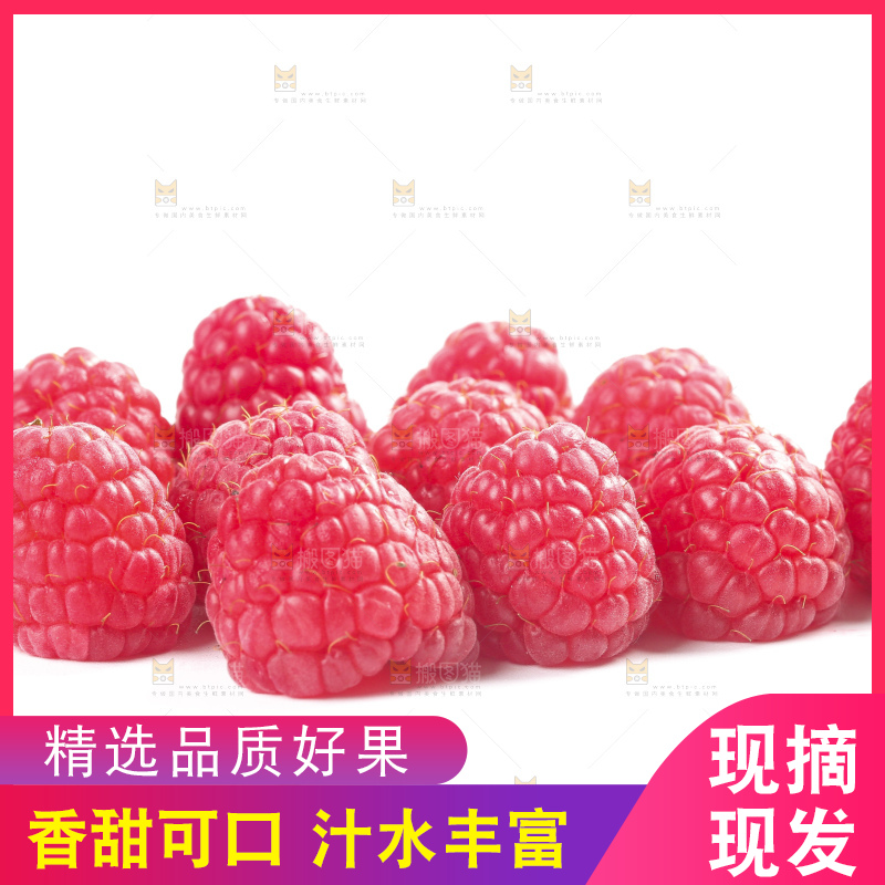 白底上的新鲜覆盆子