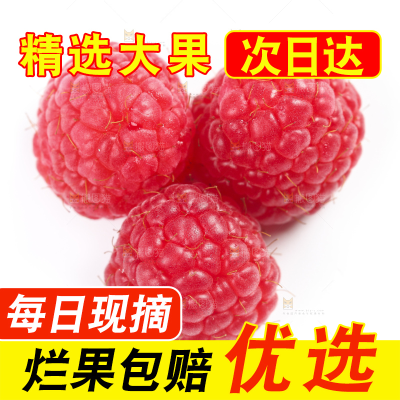白底上的新鲜覆盆子
