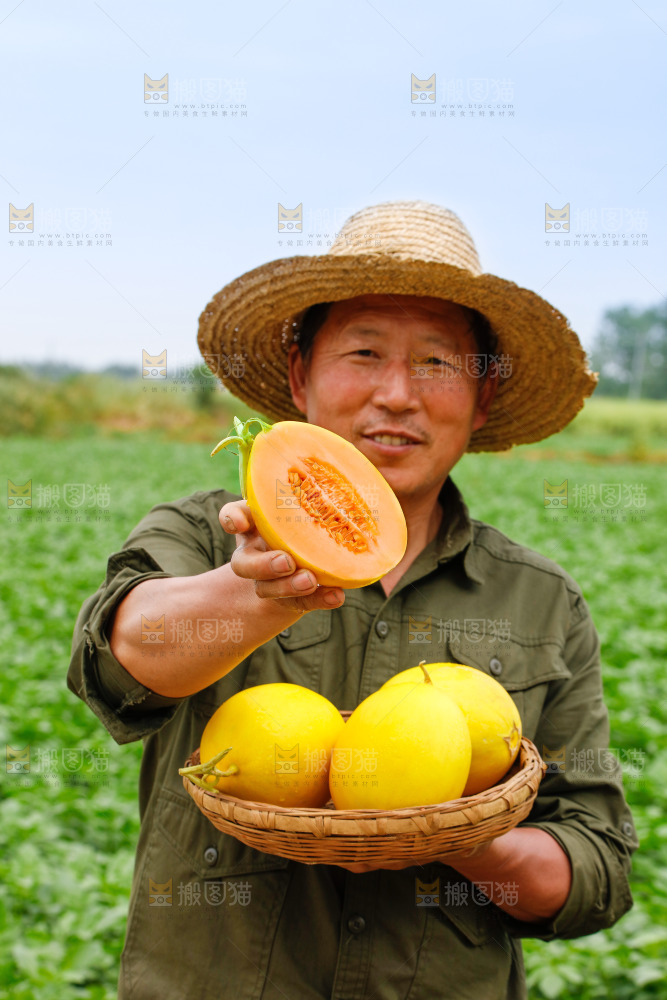 手里拿着的黄河蜜瓜