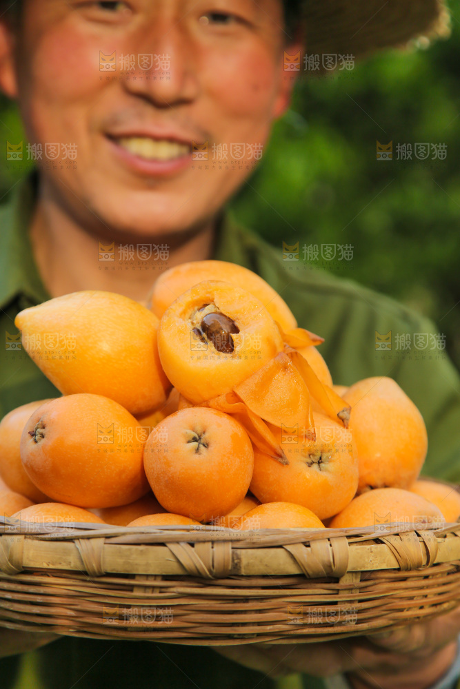 手里拿着米易枇杷