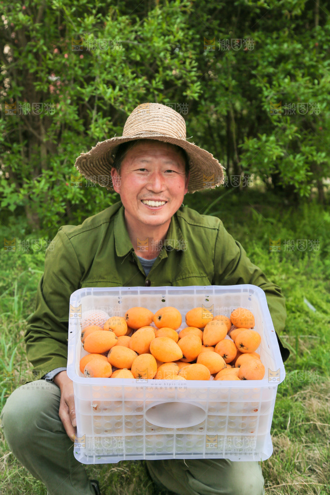 手里拿着米易枇杷