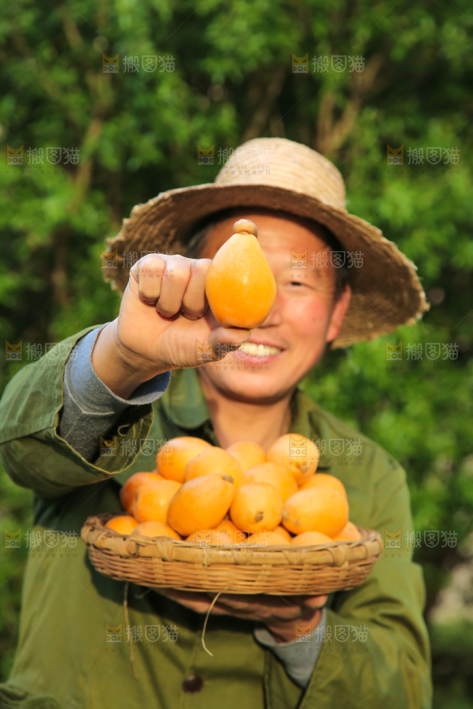 手里拿着米易枇杷