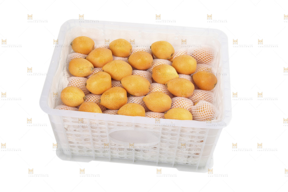 白底上的新鲜枇杷