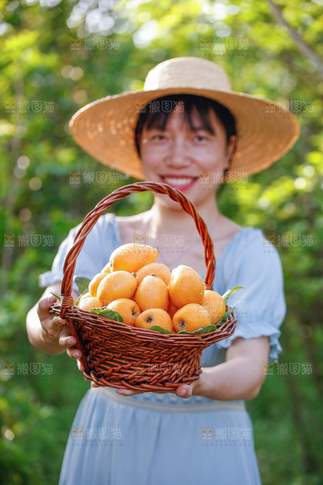手里拿着米易枇杷