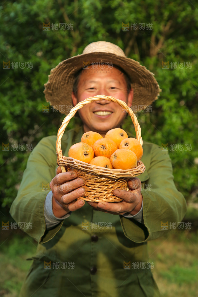 手里拿着米易枇杷