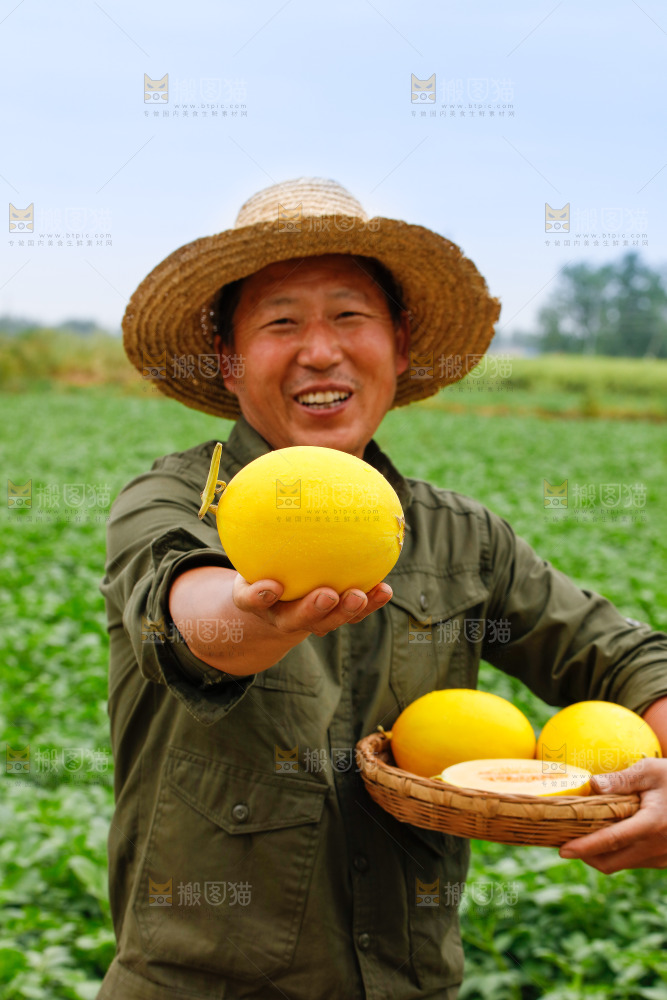 手里拿着的黄河蜜瓜