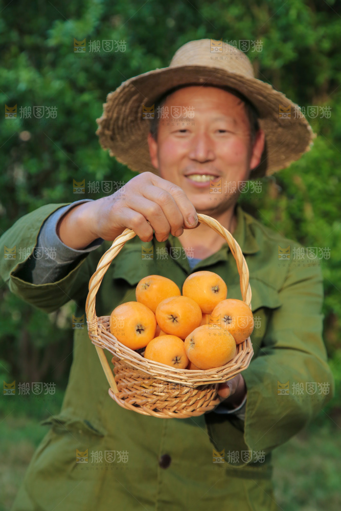 手里拿着米易枇杷