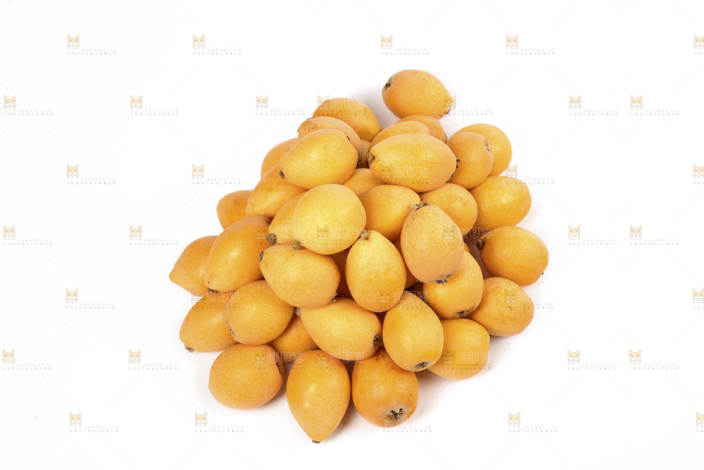 白底上的新鲜枇杷