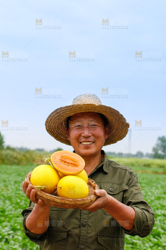 手里拿着的黄河蜜瓜