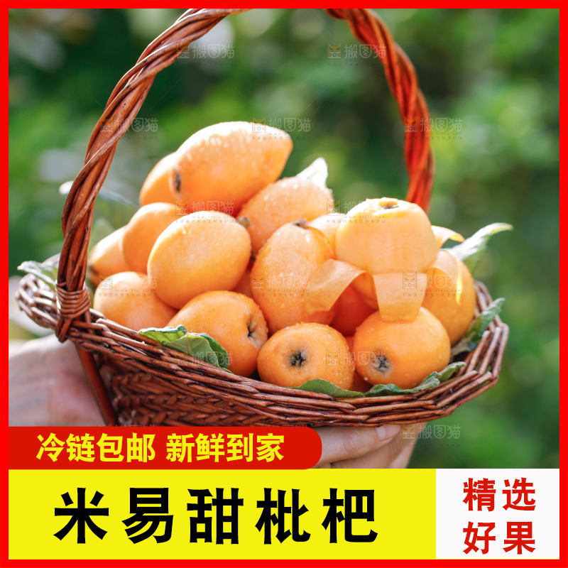 手里拿着米易枇杷
