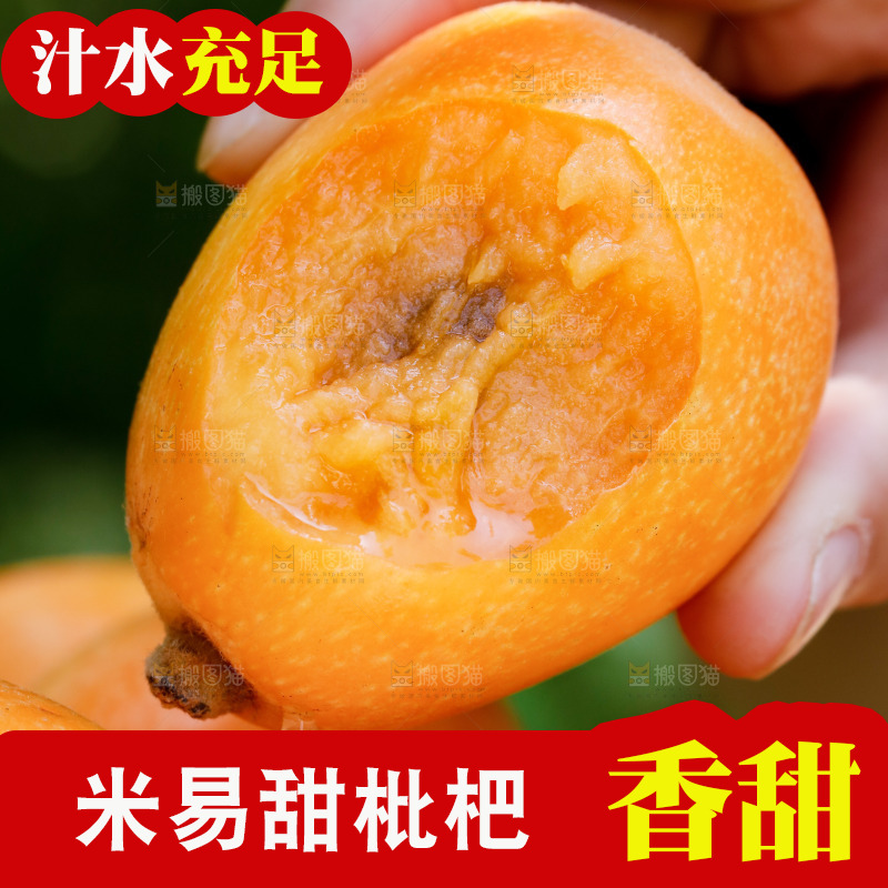 手里拿着米易枇杷