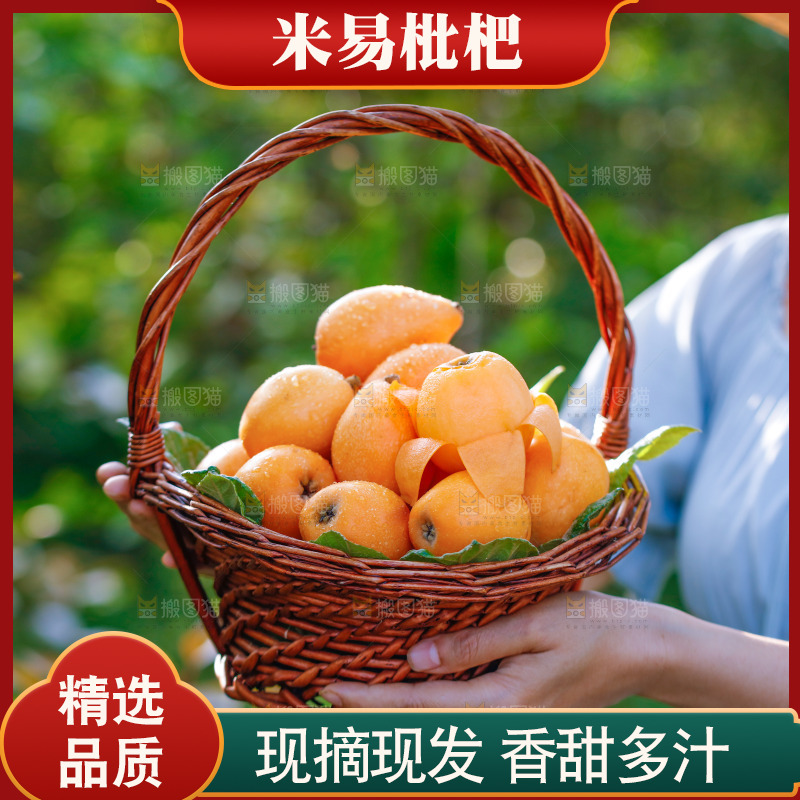 手里拿着米易枇杷