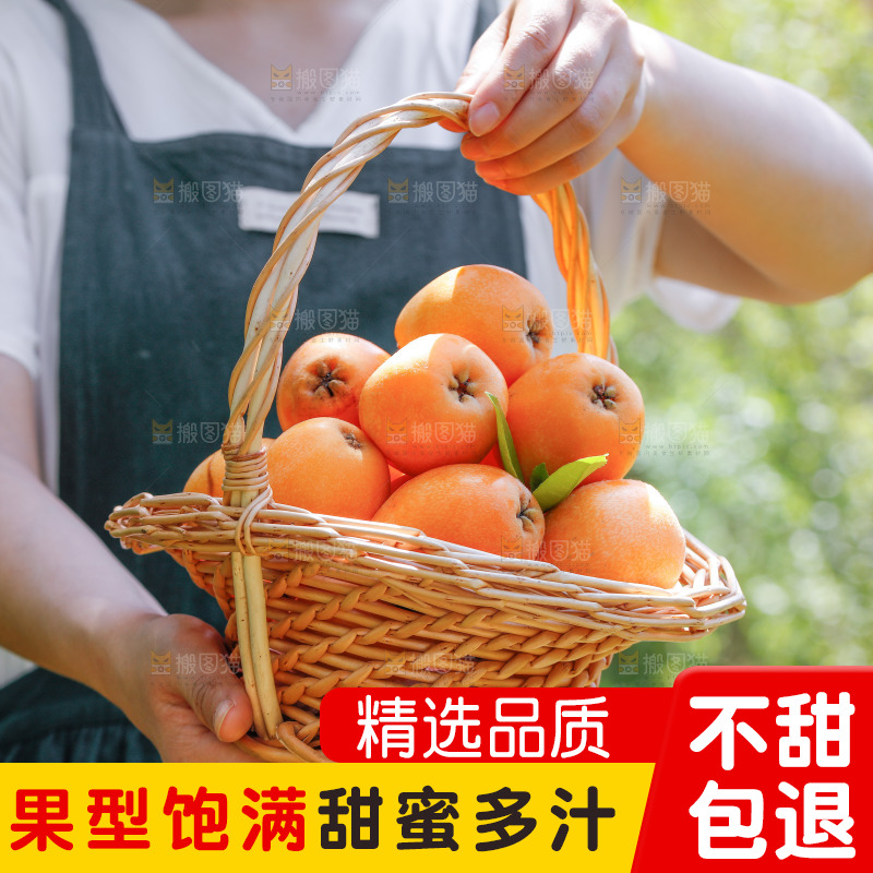 手里拿着米易枇杷