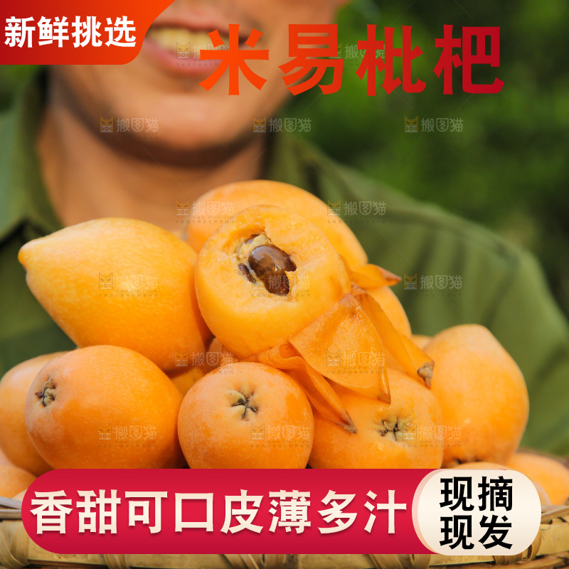 手里拿着米易枇杷