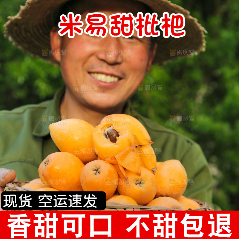 手里拿着米易枇杷