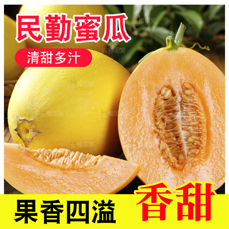 深底上的黄河蜜瓜