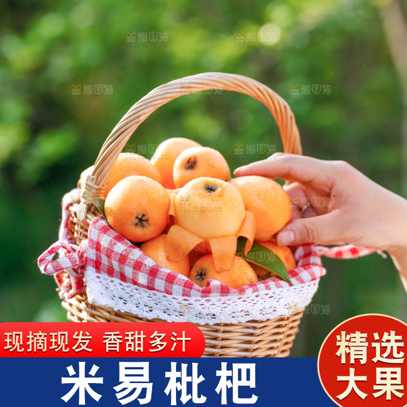 手里拿着米易枇杷