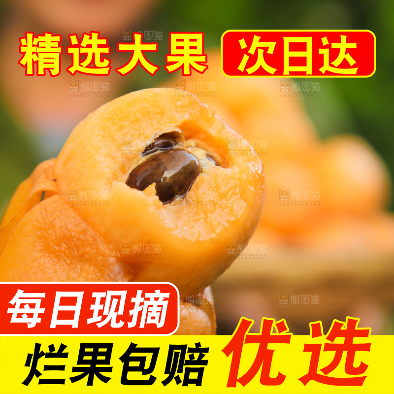 手里拿着米易枇杷