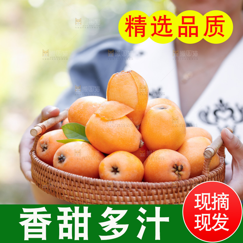 手里拿着米易枇杷