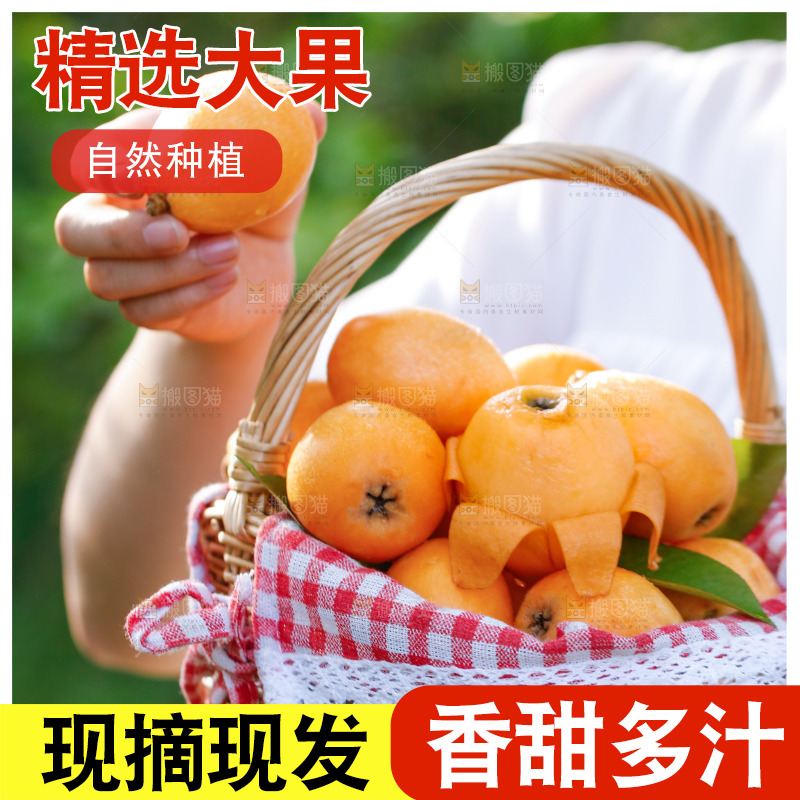 手里拿着米易枇杷