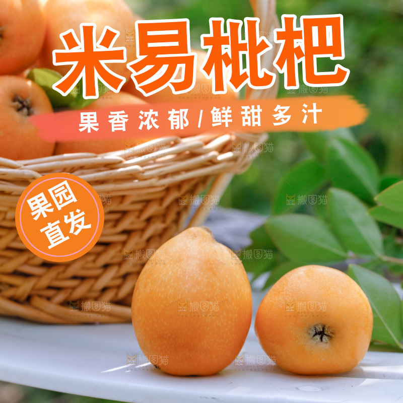 桌子上放着米易枇杷