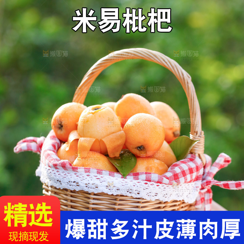 手里拿着米易枇杷