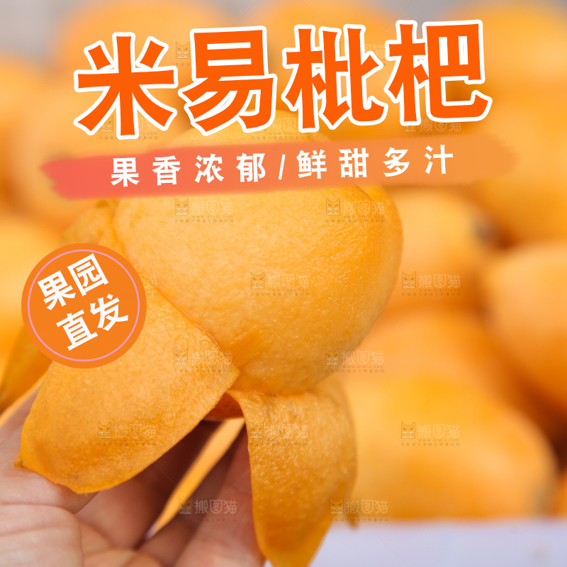 手里拿着米易枇杷