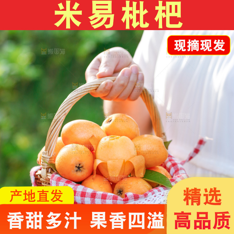 手里拿着米易枇杷