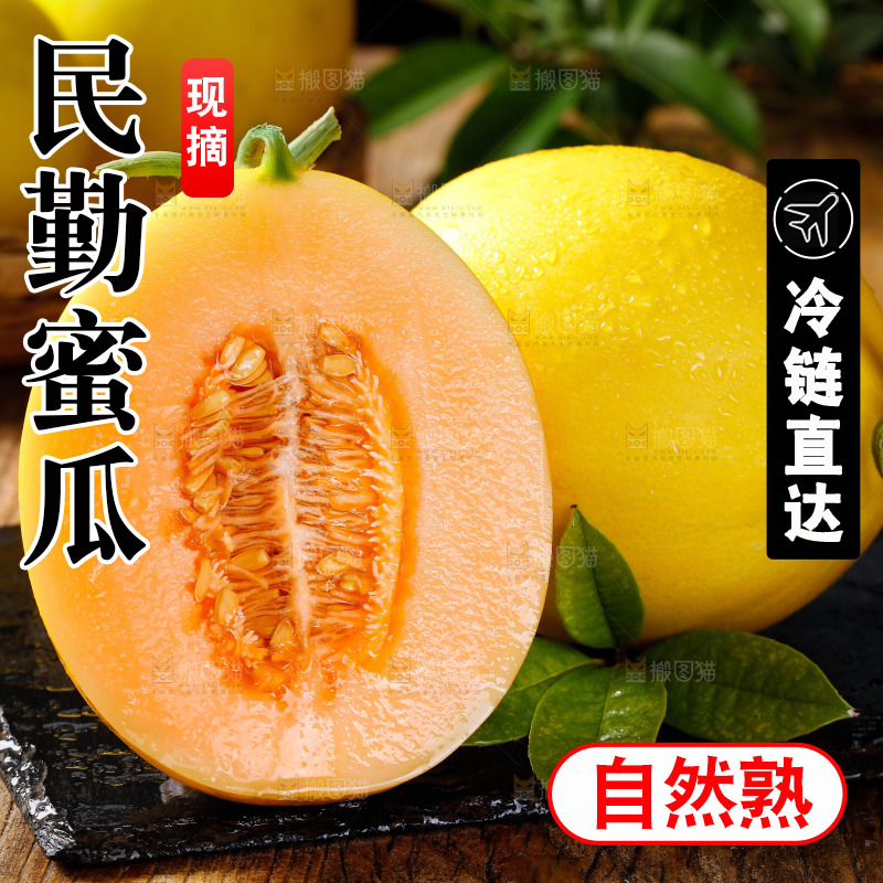 深底上的黄河蜜瓜