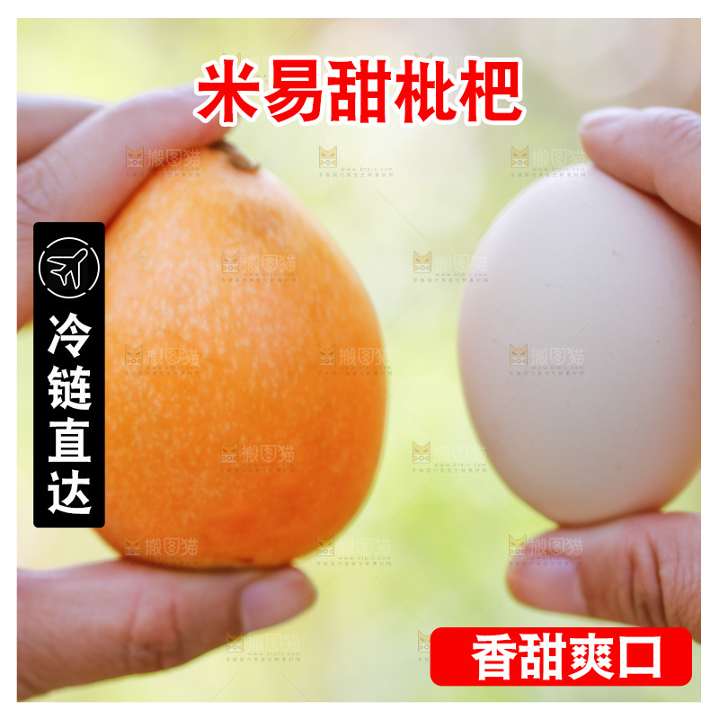 手里拿着米易枇杷